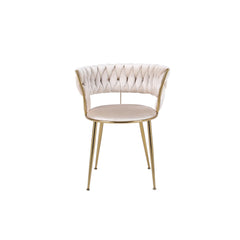 Camellia Black/Cream Luxury Velvet Dining Chairs Gold Legs